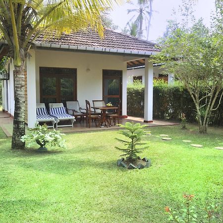 Dalmanuta Gardens Hotel Dharga Town Екстериор снимка